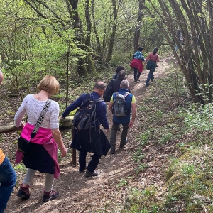 Bergpfad_Wanderweg_Hillesheimer_Land