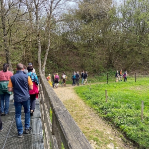 Bruecke_Wanderweg_Hillesheimer_Land